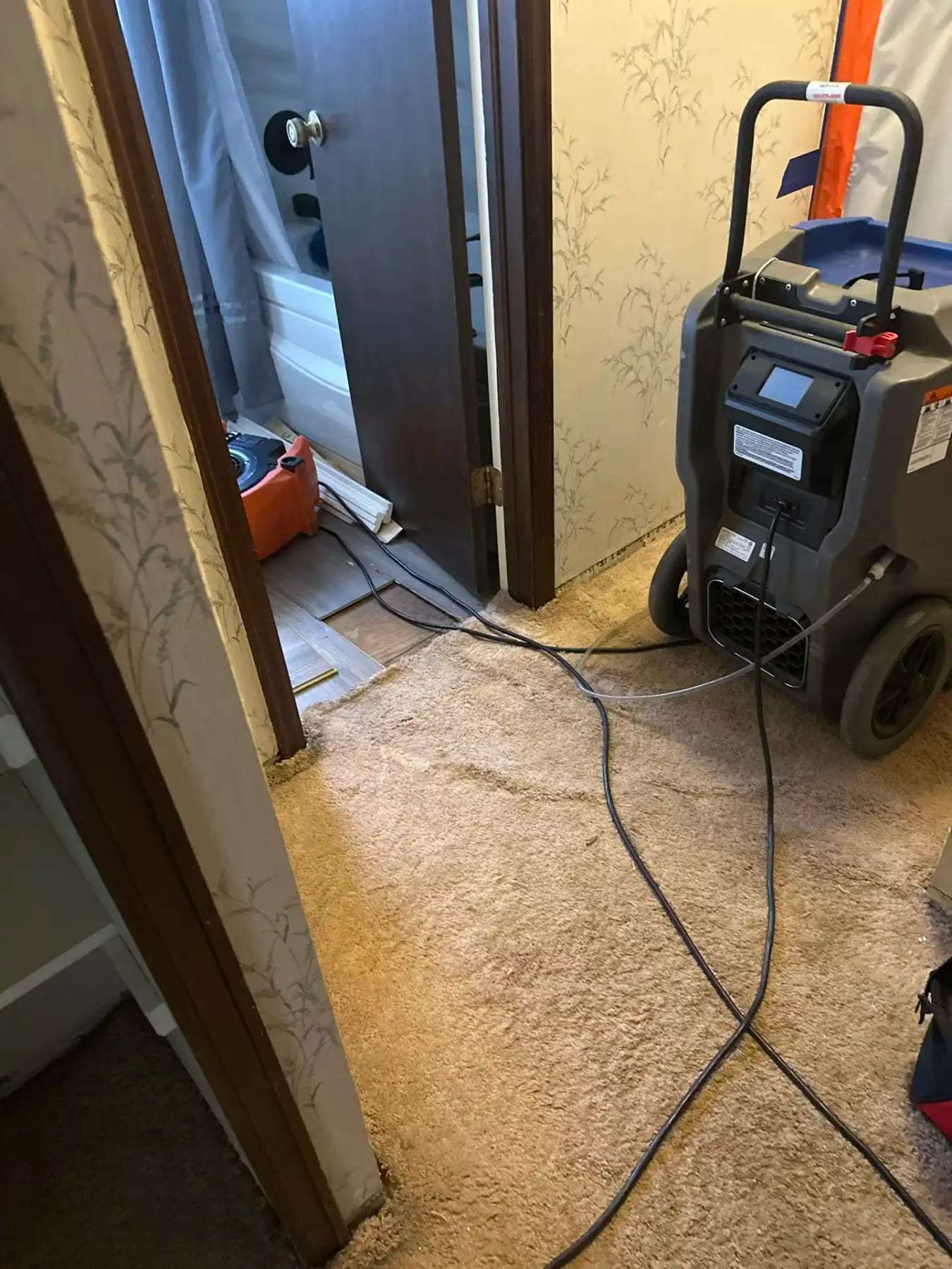 Dehumidifier running in a carpeted hallway
