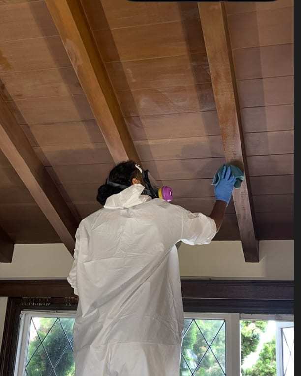 Technician in a protective suit wiping a wood ceiling beam