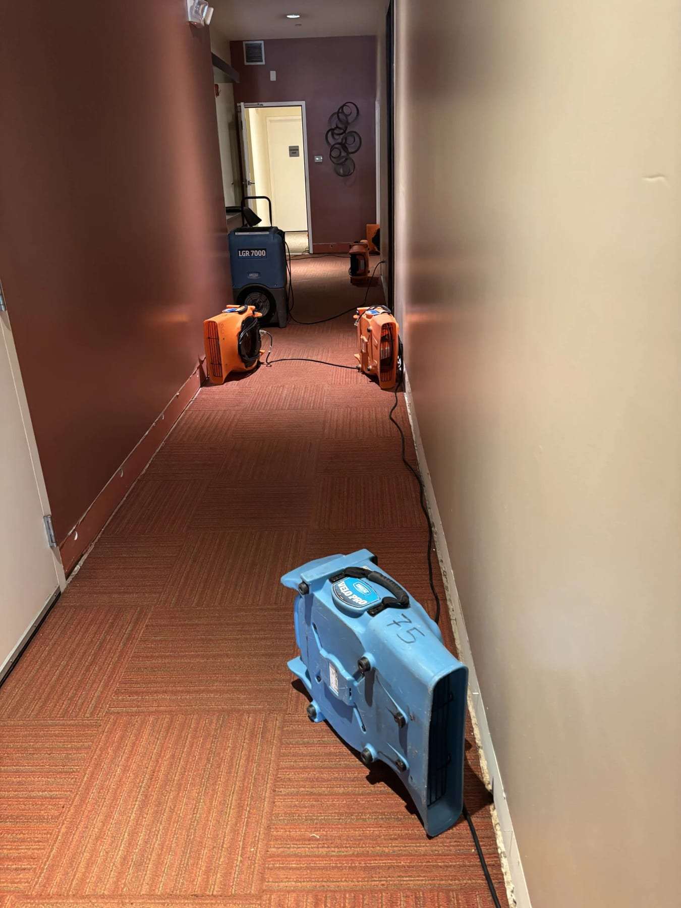 Long carpeted corridor with air movers and a dehumidifier along one wall