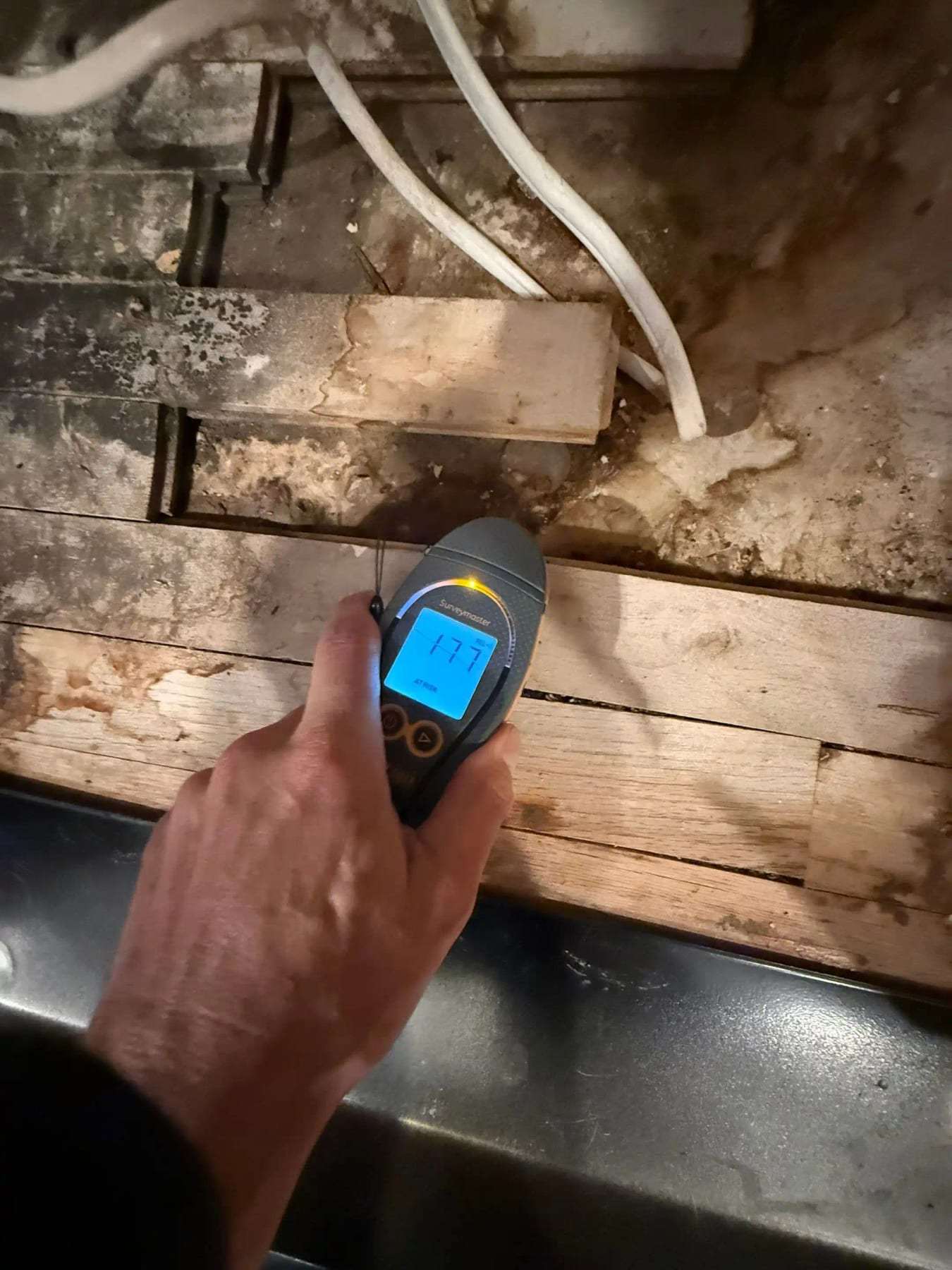 Moisture meter held against a subfloor with dark staining along the boards