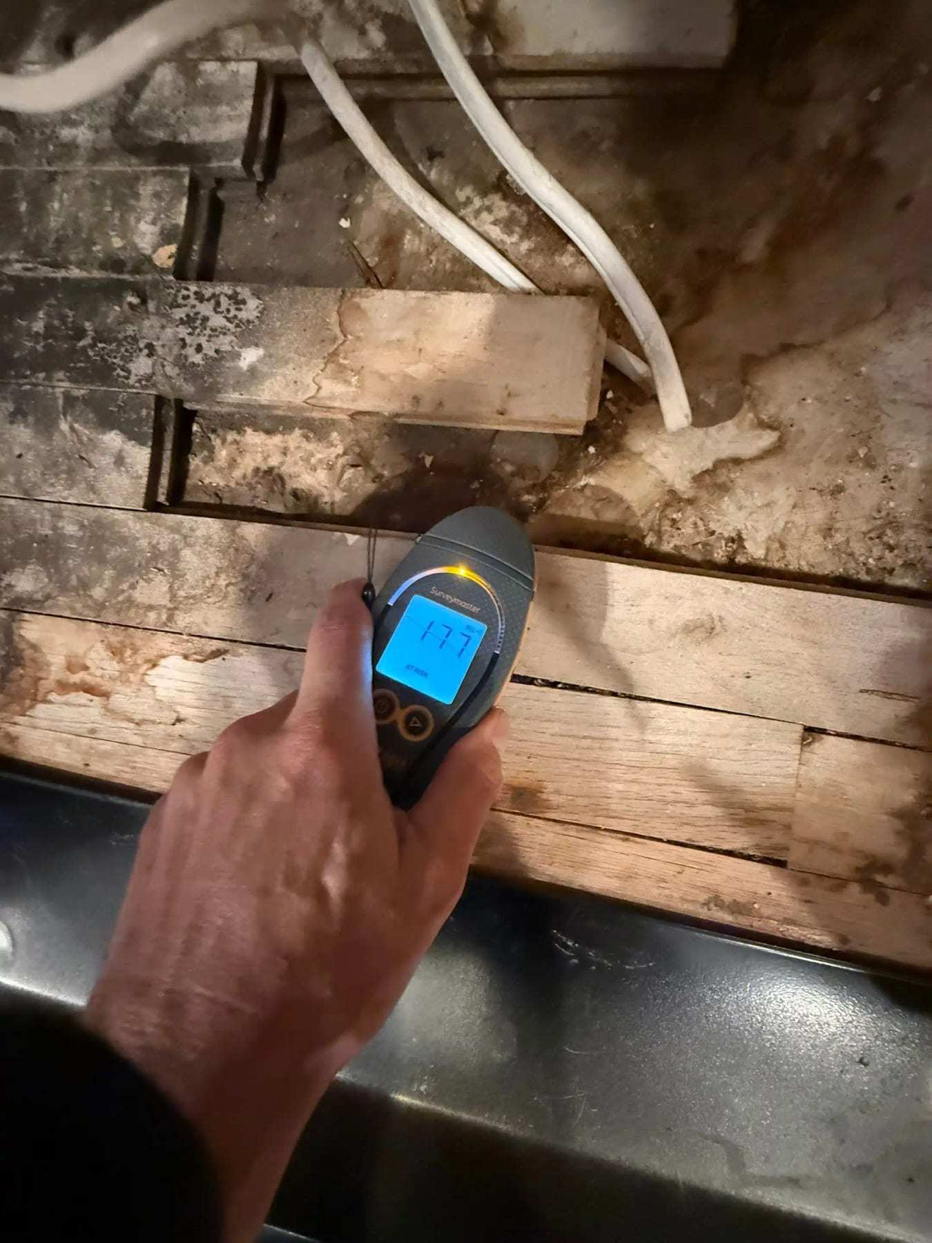 Moisture meter held against a subfloor with dark staining along the boards