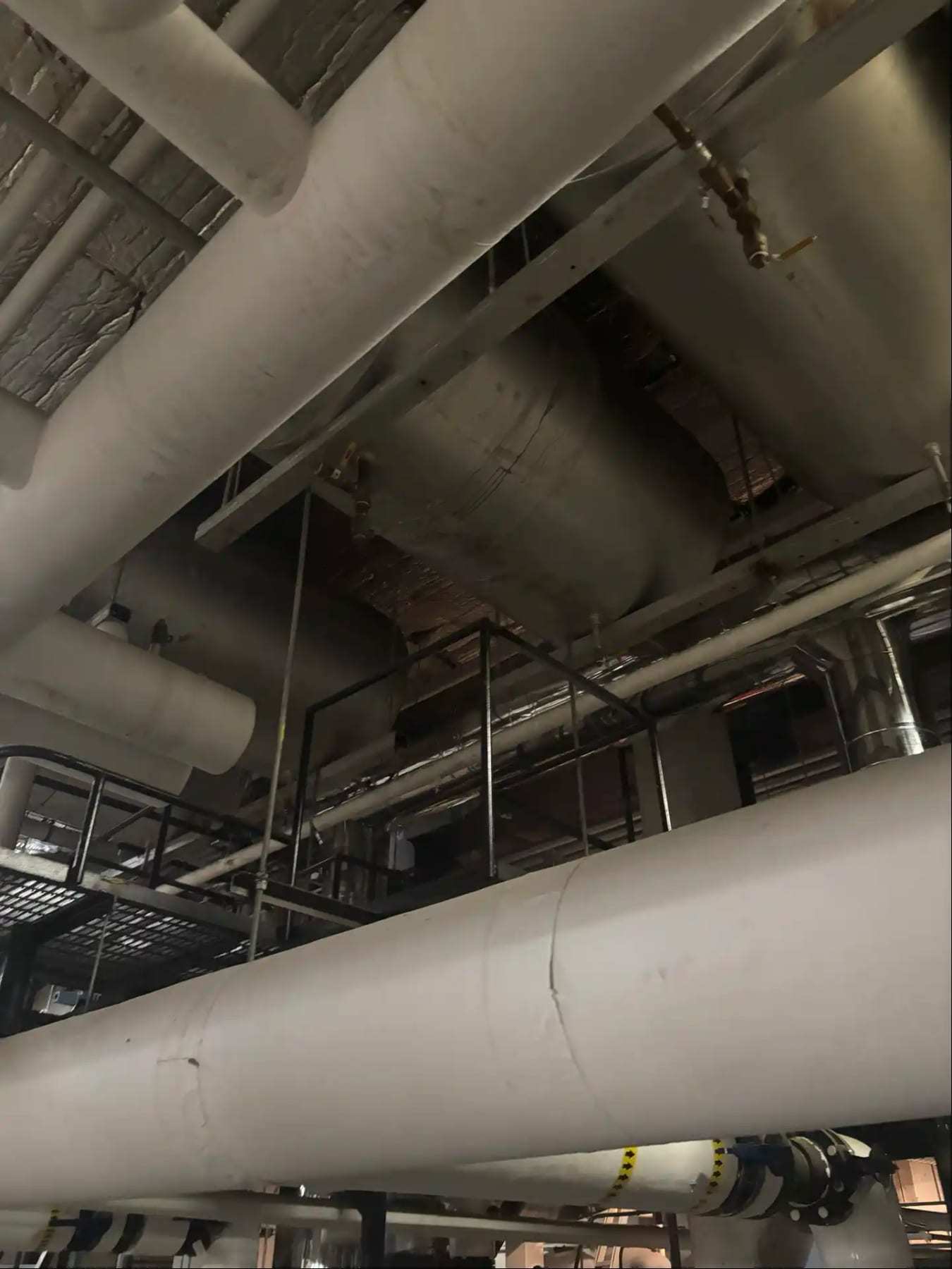 Insulated pipes along the ceiling of a commercial mechanical area