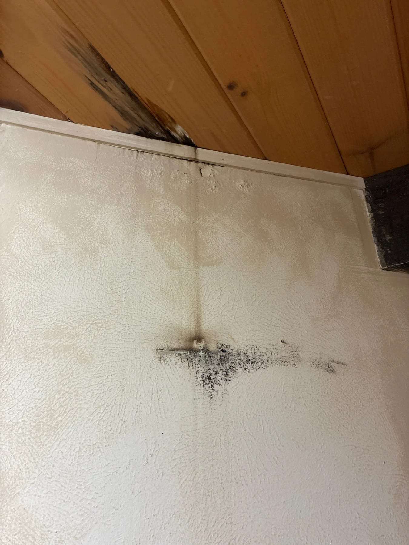 Dark staining at the corner where a wall meets a wood ceiling