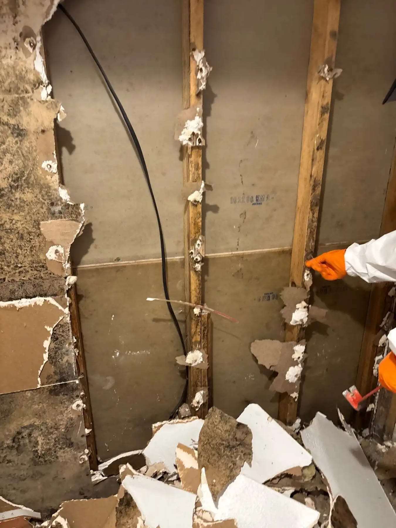 Wall with mold-stained drywall broken away from the studs