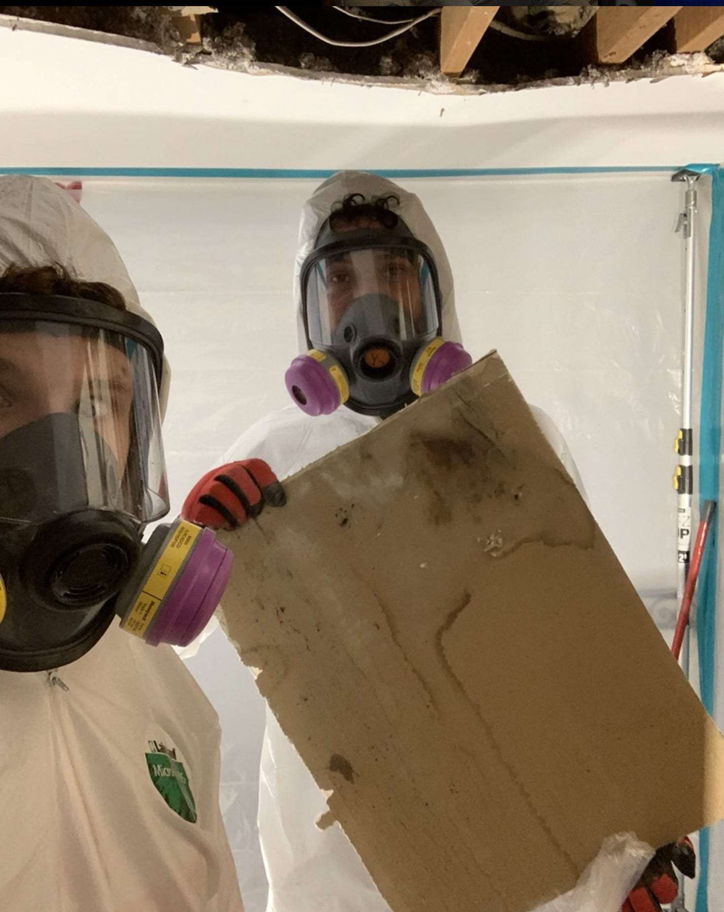 Two technicians in respirators removing a piece of moldy drywall