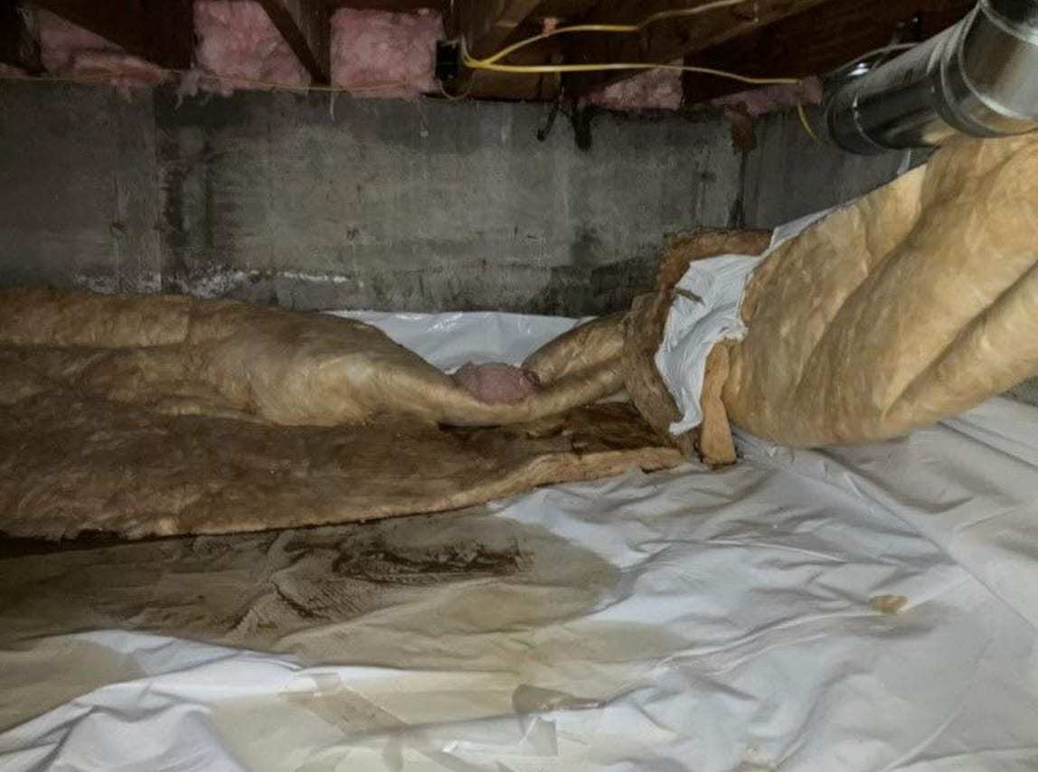 Crawlspace with sagging wet insulation over a vapor barrier