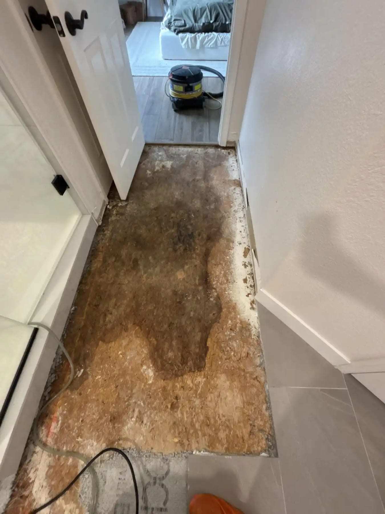 Hallway with the flooring removed and a dark moisture stain on the subfloor