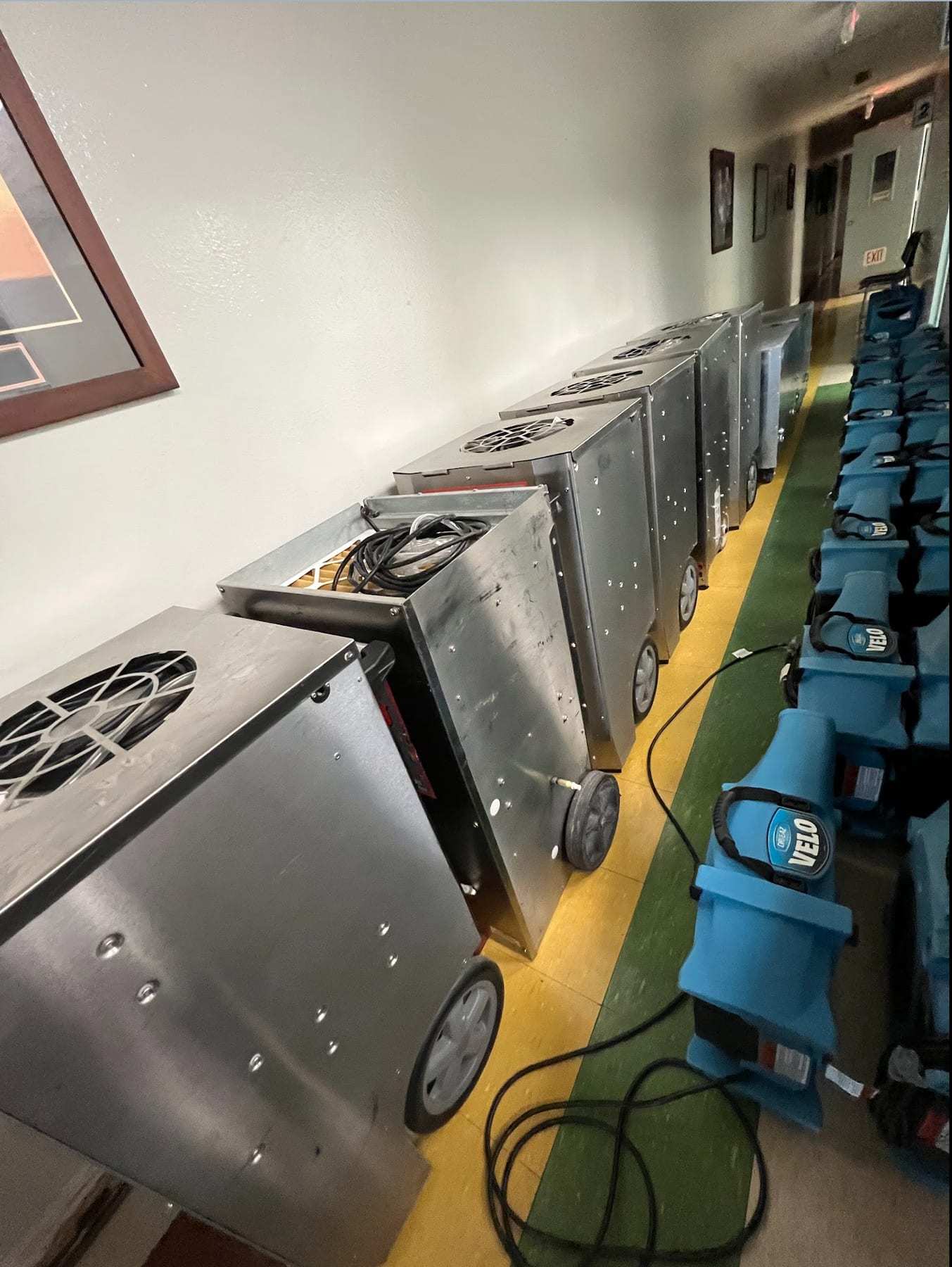 Row of dehumidifiers and air movers drying a long hallway