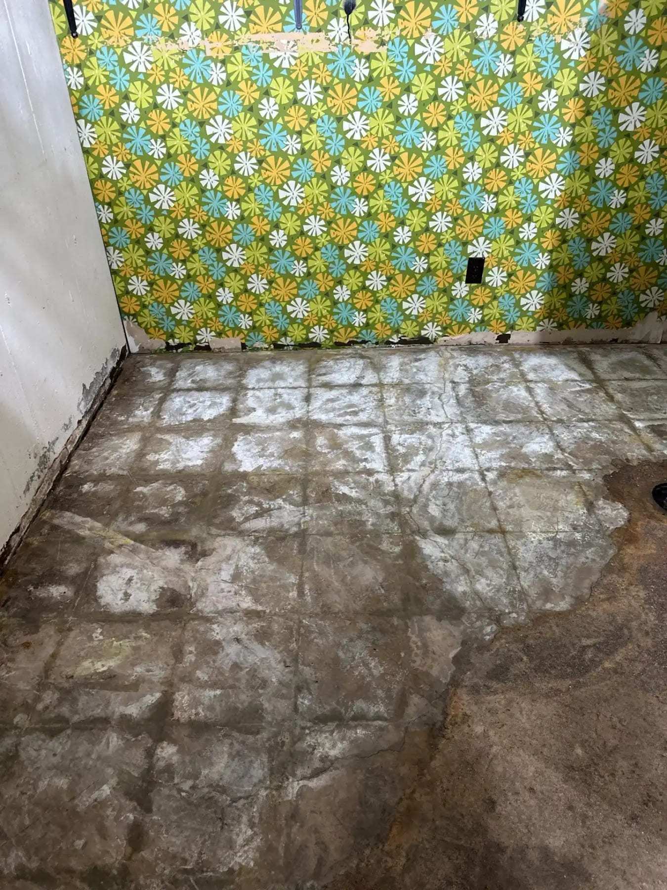 Wet concrete floor with the tile removed in a room with floral wallpaper