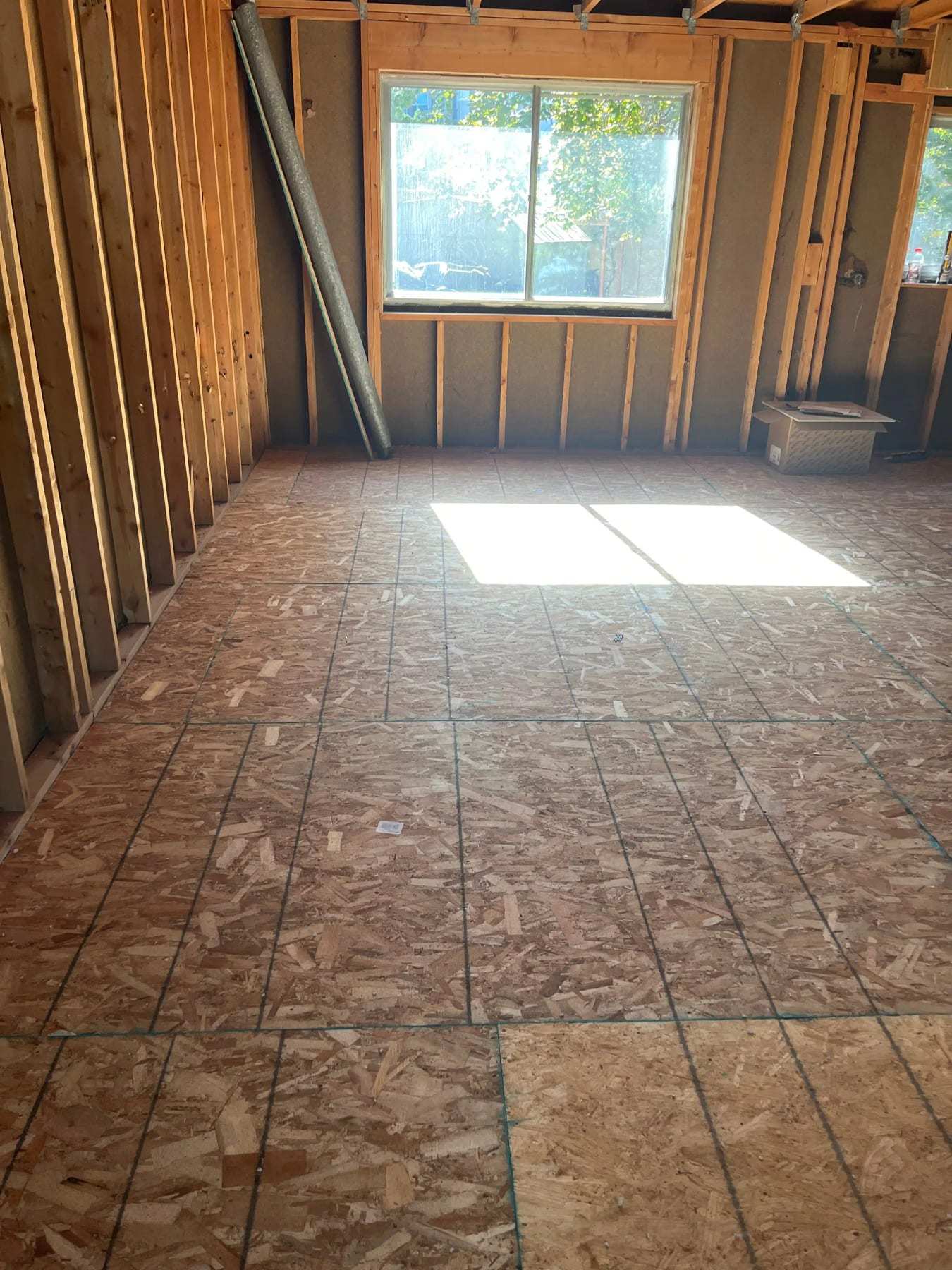 Room stripped to the framing with a new plywood subfloor